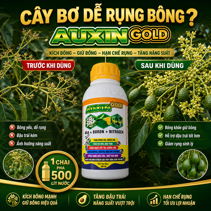 AUXIN GOLD 500ml Phân Bón Lá Bo NAA Cho Cây Bơ – Dưỡng Bông, Giữ Hoa, Tăng Đậu Trái, Hạn Chế Rụng Tr