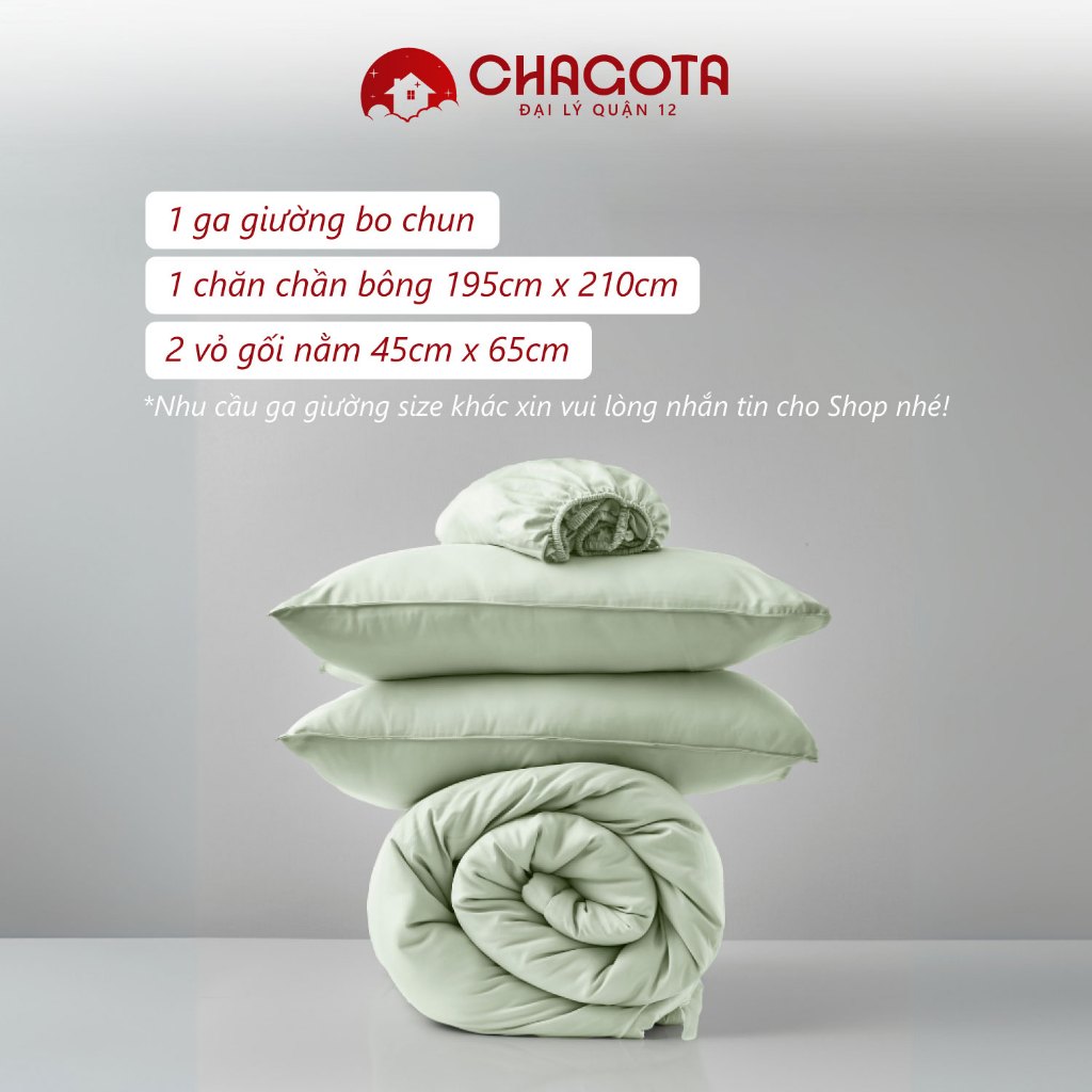 Bộ Chăn Ga Gối Lụa Silk Ice CHAGOTA, Khả Năng Vải Thấm Hút, Độ Mềm Mát cao, Thông Thoáng Mọi Mùa 1m6x2m 1m8x2m | BigBuy360 - bigbuy360.vn