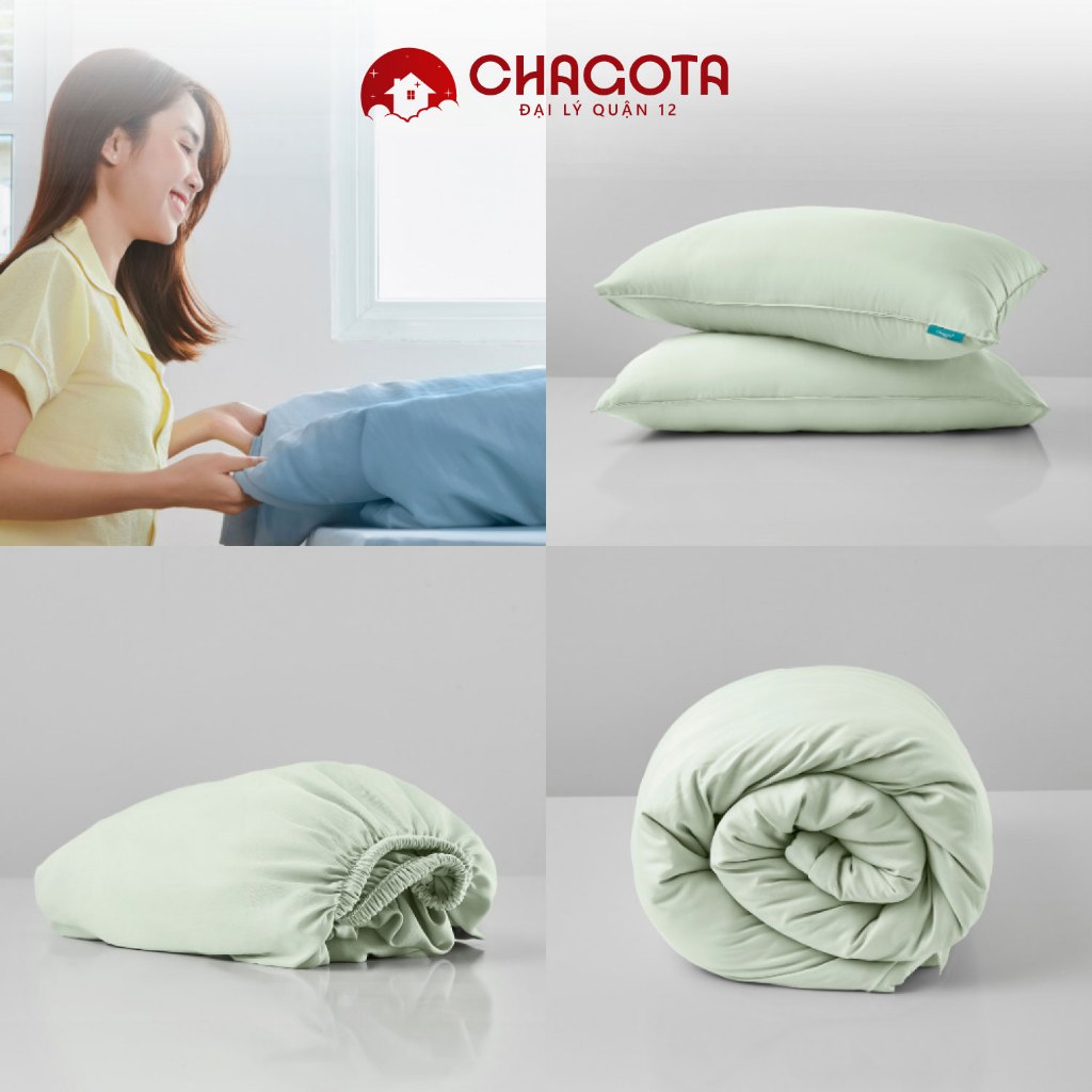 Bộ Chăn Ga Gối Lụa Silk Ice CHAGOTA, Khả Năng Vải Thấm Hút, Độ Mềm Mát cao, Thông Thoáng Mọi Mùa 1m6x2m 1m8x2m | BigBuy360 - bigbuy360.vn