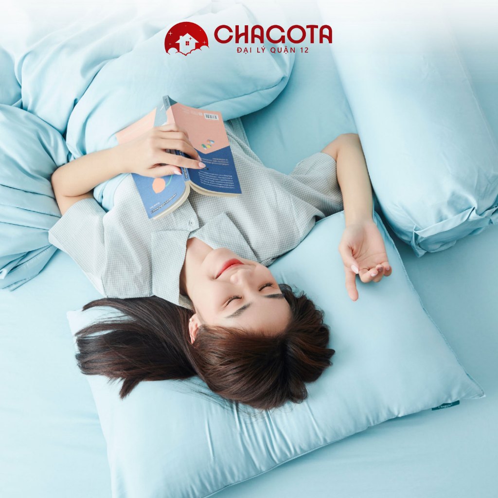 Bộ Chăn Ga Gối Lụa Silk Ice CHAGOTA, Khả Năng Vải Thấm Hút, Độ Mềm Mát cao, Thông Thoáng Mọi Mùa 1m6x2m 1m8x2m | BigBuy360 - bigbuy360.vn