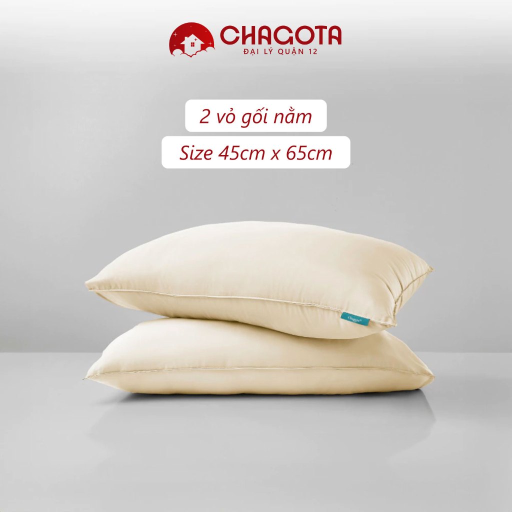 Bộ Chăn Gối 3 Món Silk Ice CHAGOTA, Công Nghệ Vải Vượt Trội, Thông Thoáng Mọi Mùa, Kháng Khuẩn Cao | BigBuy360 - bigbuy360.vn