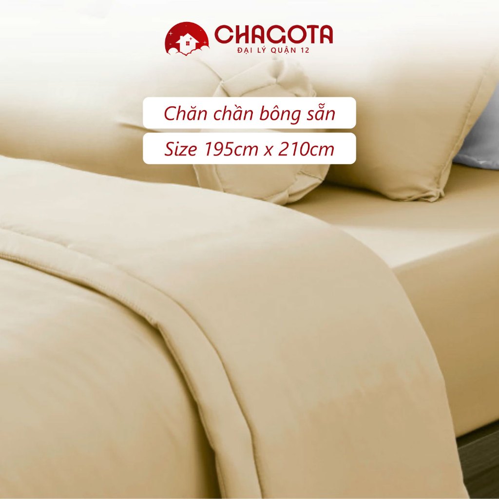 Bộ Chăn Gối 3 Món Silk Ice CHAGOTA, Công Nghệ Vải Vượt Trội, Thông Thoáng Mọi Mùa, Kháng Khuẩn Cao | BigBuy360 - bigbuy360.vn