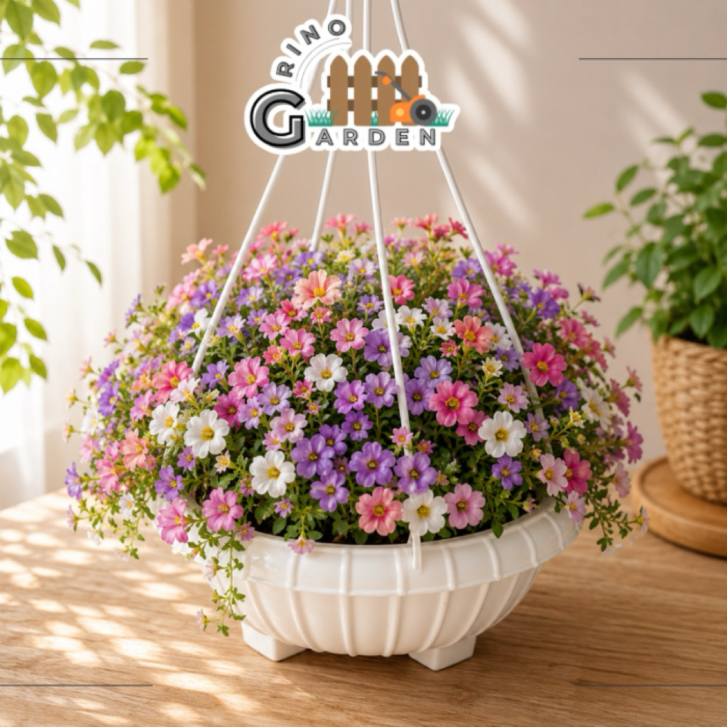 Chậu nhựa treo size đại 33x20 cm trồng hoa, dương sỉ rủ, Vỉa Hè