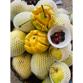 Xoài tứ quý bến tre - giòn - ngọt 7 chua ăn. bao đổi trả , ship bắc, trung , nam