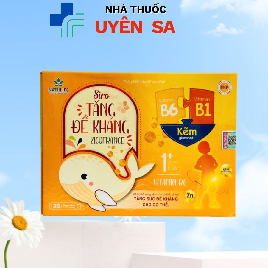 [CHÍNH HÃNG] SIRO TĂNG ĐỀ KHÁNG ZICOFRANCE B6 B1 KẼM. Hộp 20 ống
