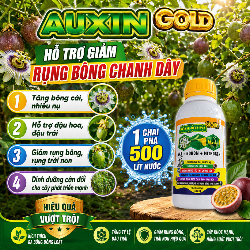 AUXIN GOLD 500ml Bo NAA Cho Cây Chanh Dây – Hạn Chế Rụng Bông, Rụng Trái Non, Giúp Chanh Dây Đậu Trá