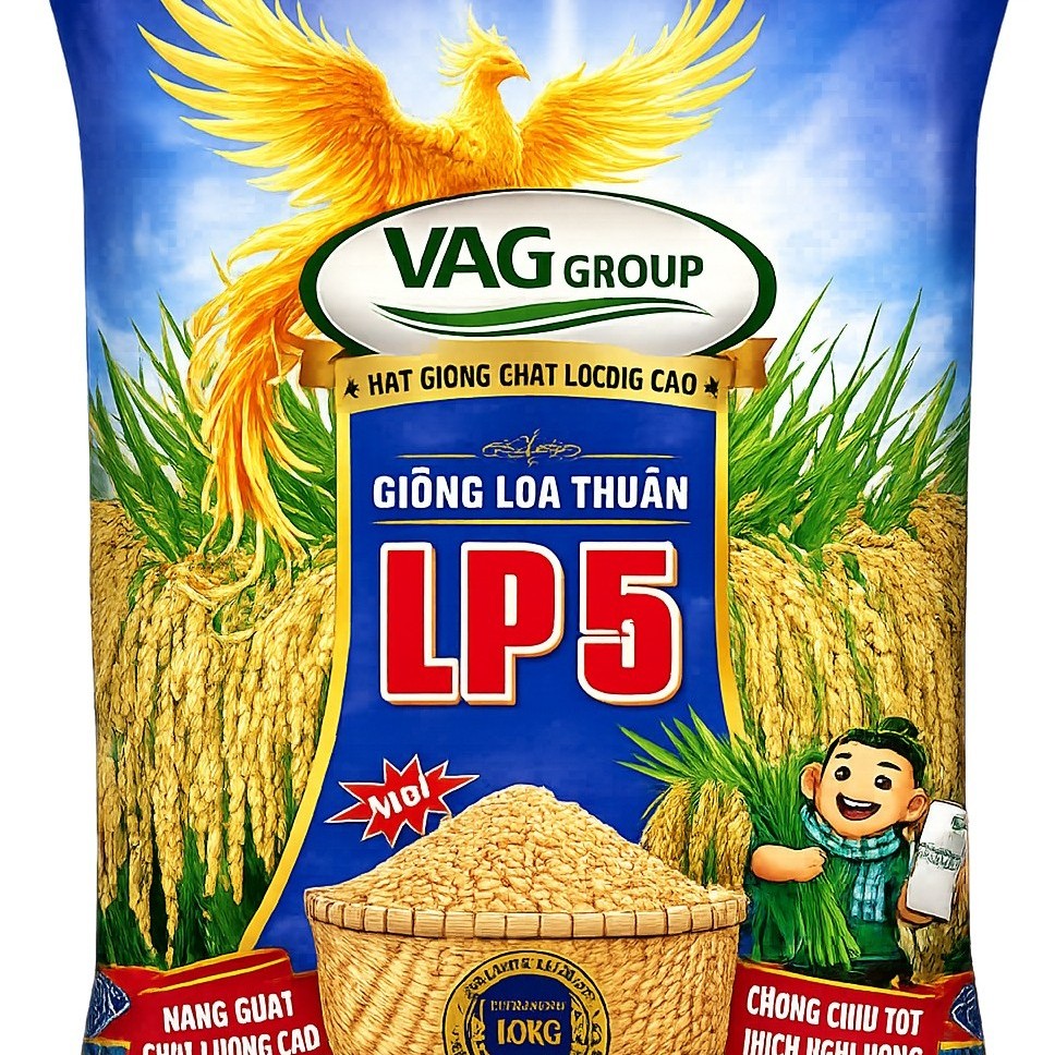 GIỐNG LÚA THUẦN NĂNG SUẤT CHẤT LƯỢNG LP5