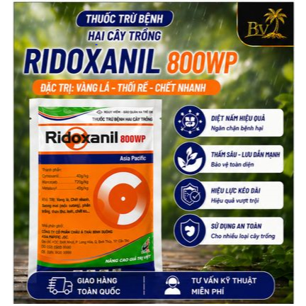 Ridoxanil 800WP 100gr – Thuốc Trừ Bệnh Cao Cấp Đặc Trị Thối Rễ, Sương Mai, Xì Mủ, Phấn Trắng Cho Cây
