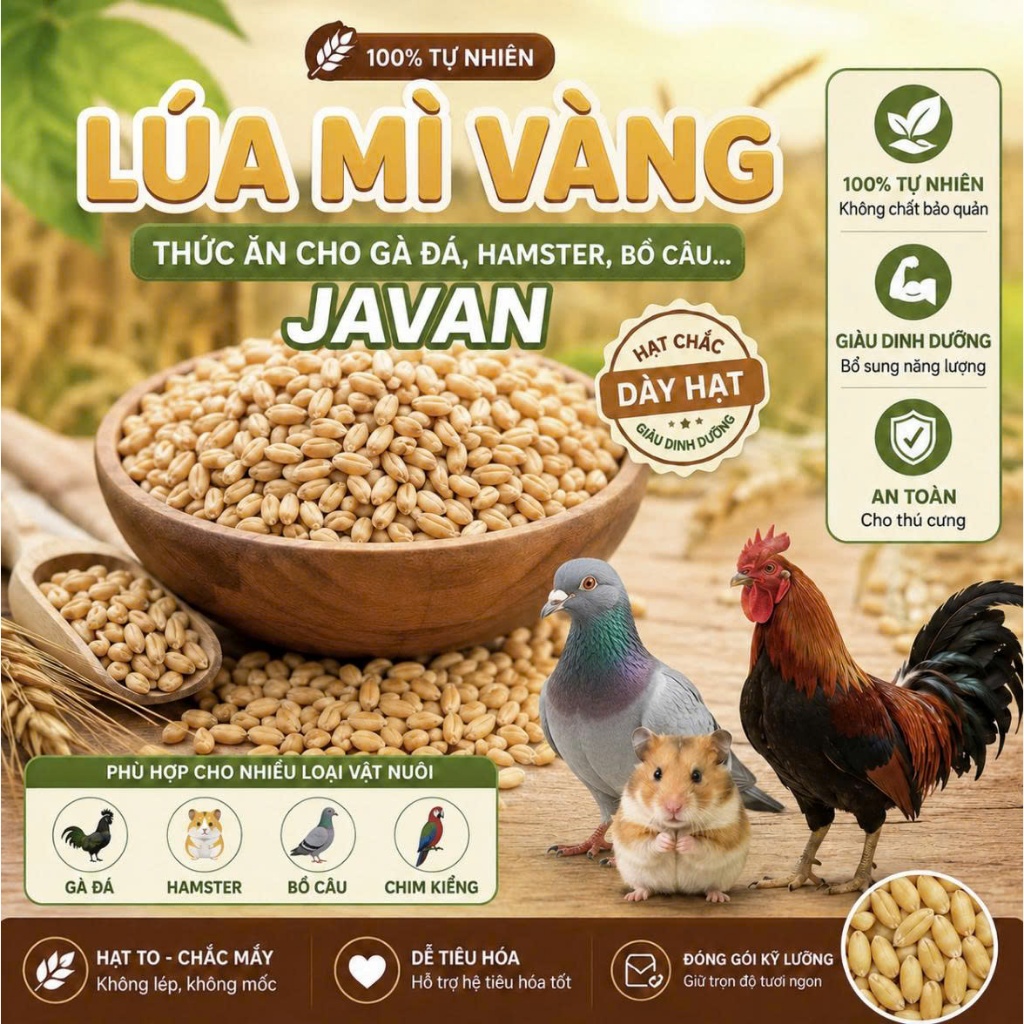 1kg Lúa Mì Tách Vỏ Cho Gà Đá, Chim, Hamster, Bồ Câu
