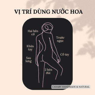 Tinh Dầu Nước Hoa Body | Hương Nước Hoa Pháp | Lôi cuốn