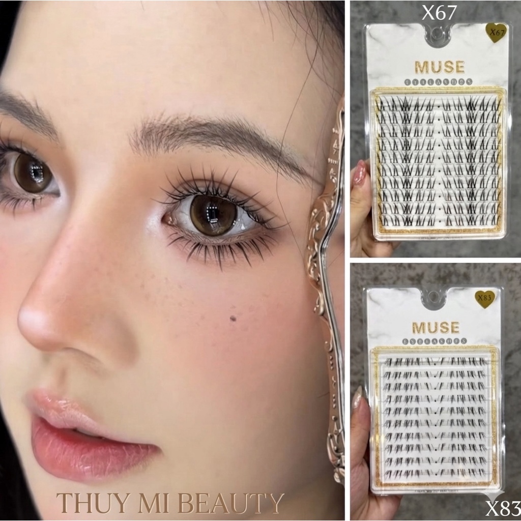 Mi Rời Trên Muse X67 Kết Hợp Mi Dưới Muse X83 - Cặp đôi hoàn hảo - Thuy Mi Beauty