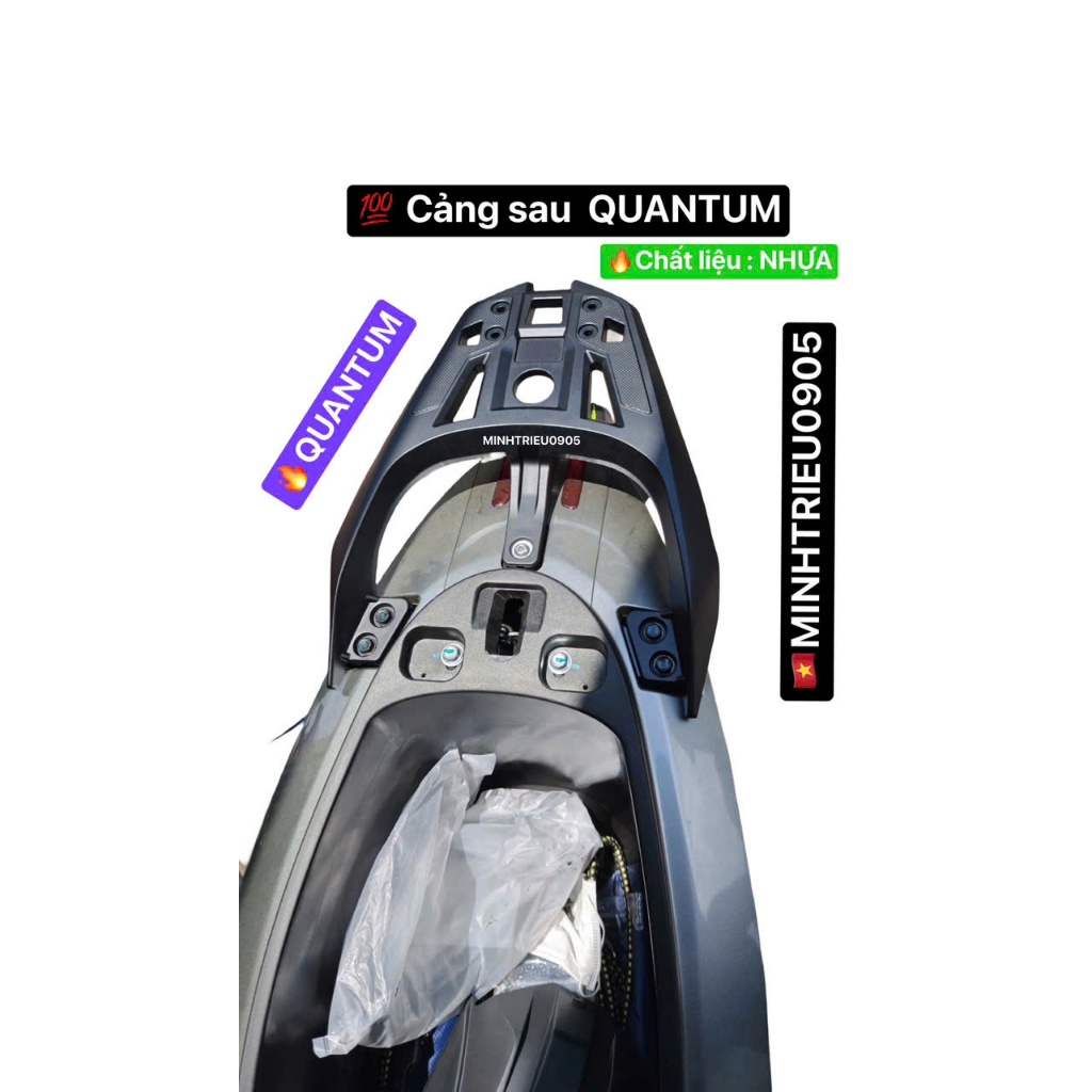 Cảng sau Quantum - tay dắt sau DatBike QUANTUM Nhựa