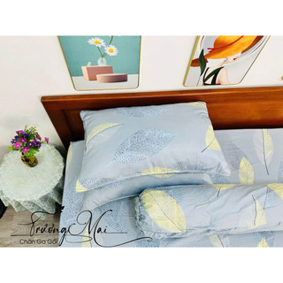 Drap Tencel lụa mát mịn kèm chăn chần gòn 5 món sang trọng cao cấp