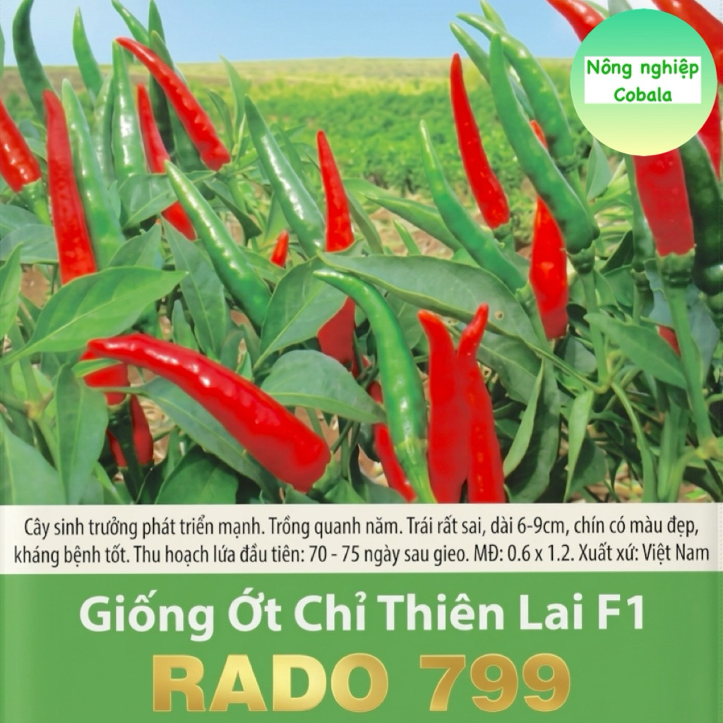 Hạt Giống Ớt Chỉ Thiên Siêu Cay 0.1gr