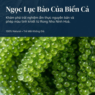 300g Rong Nho Tách Nước - Thảo Dược Biển Ninh Thuận