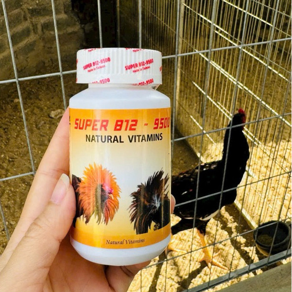 B12 9500 SUPER Hũ 100v - nuôi 7-10 ngày dùng cho gà