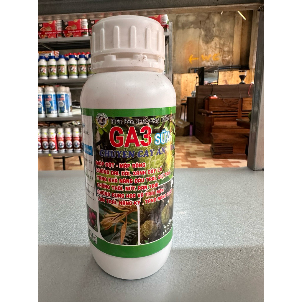 Ga3 Sữa ( chuyên cây ăn trái )
