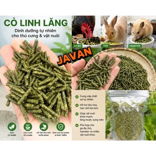 Combo 5kg Cỏ Linh Lăng Javan Dành Cho Gà Đá Hamster Sóc Nhím Thỏ Giàu Vitamin Chất Xơ Cao Hỗ Trợ Hệ Tiêu Hóa