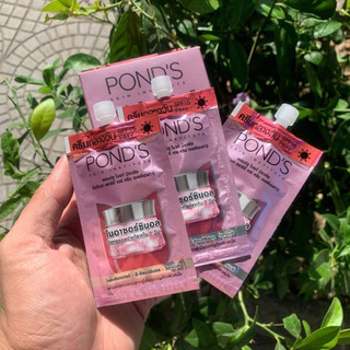 Combo 6 gói kem dưỡng da Ponds thái lan