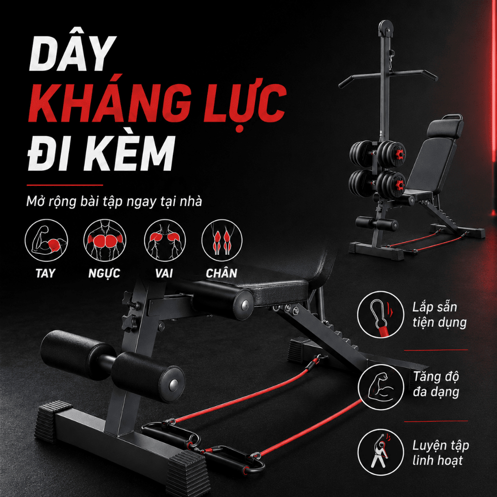 Ghế tập tạ, ghế tập đẩy tạ, dụng cụ hỗ trợ gập bụng, thiết bị thể dục, sử dụng tại nhà, ghế đa năng | BigBuy360 - bigbuy360.vn