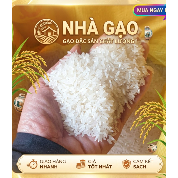 Gạo ST 25 2kg - Gạo nhà trồng