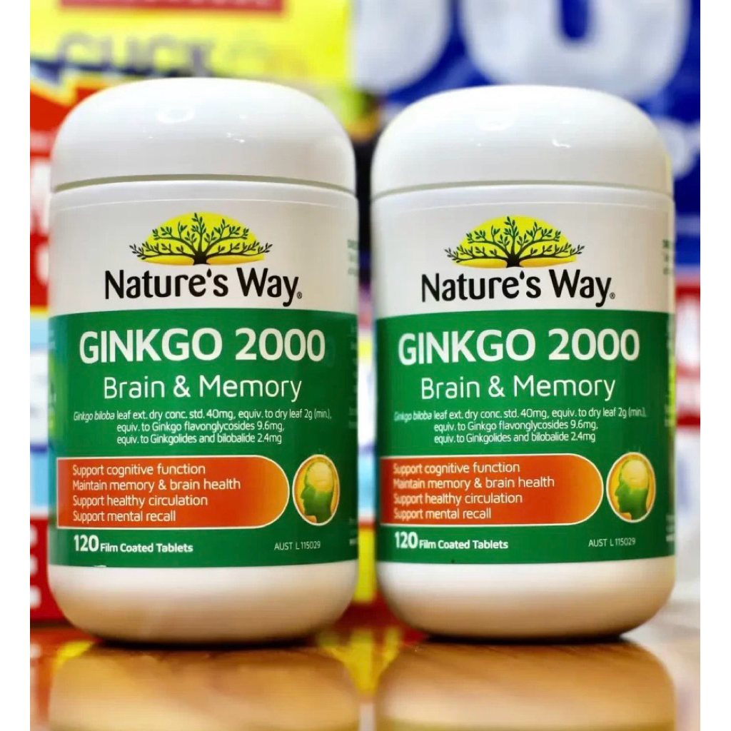 GINKGO 2000 Brain & Memory [Nature’s Way]