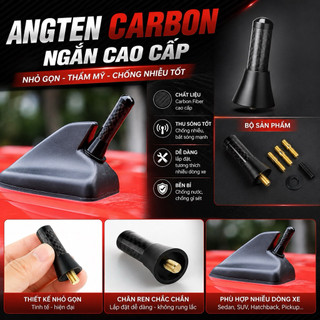 Angten ngắn Carbon cho Ford, Mazda, Huyndai - Hàng sịn