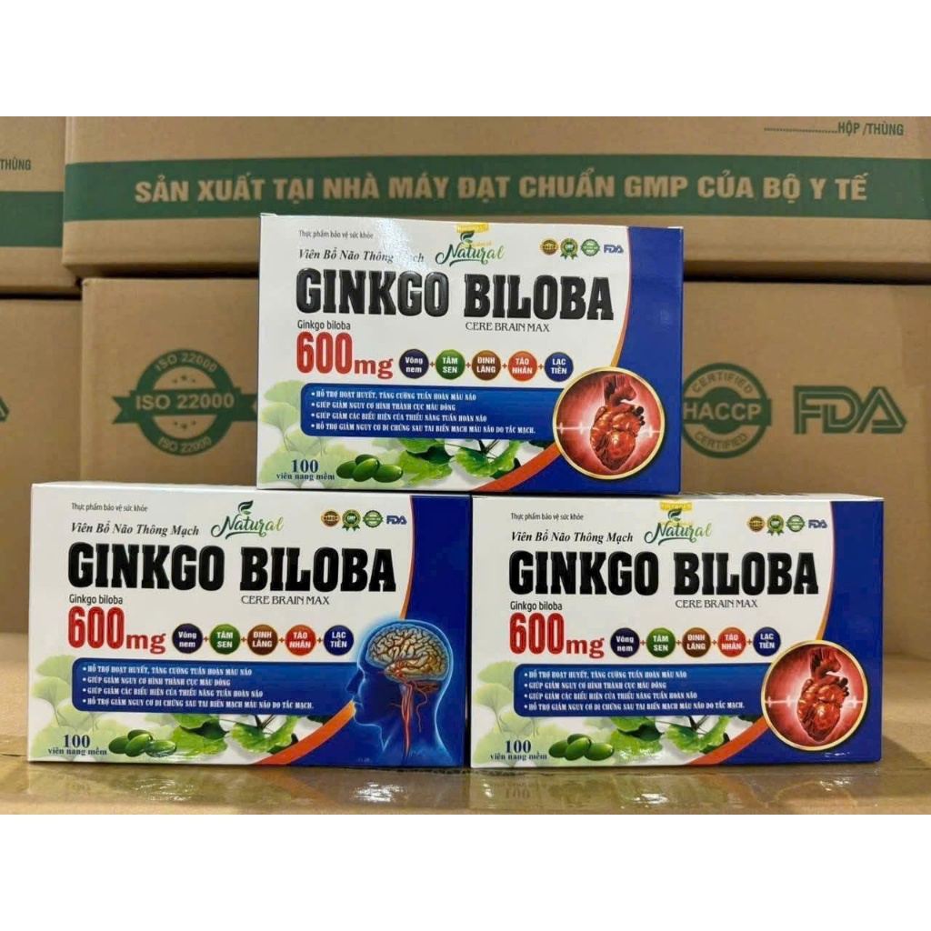 HỘP 100 VIÊN] BỔ NÃO GINKGO BILOBA   600MG - Hỗ Trợ Hoạt Huyết, Tăng Tuần Hoàn Máu