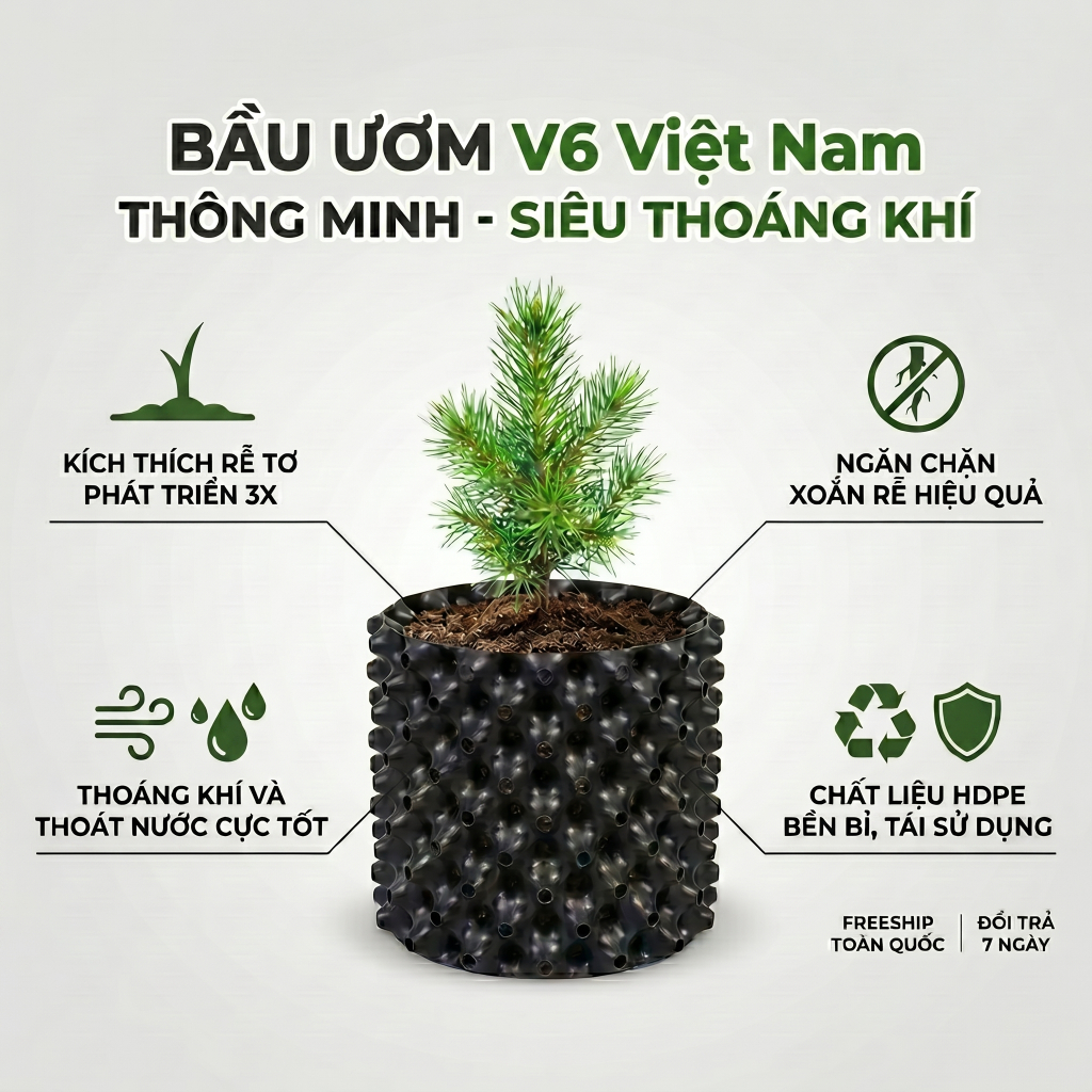 Combo 10m Bầu Ươm V6 Việt Nam