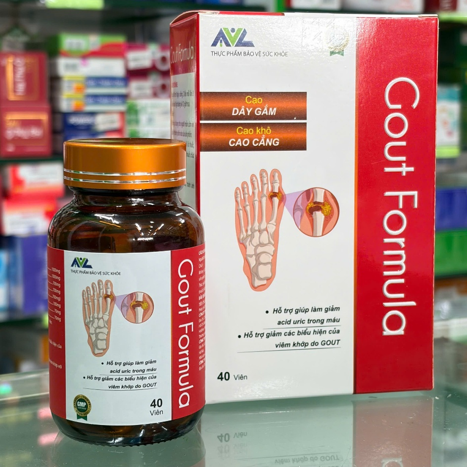 Gout Formula- Hỗ trợ giảm acid uric trong máu, giảm các biểu hiện của viêm khớp do gout