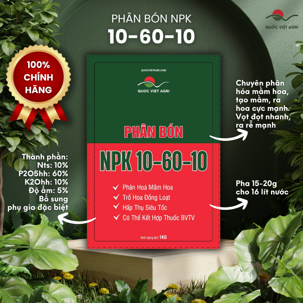 Phân bón lá NPK SIÊU LÂN 10-60-10+TE QVA (gói 1KG) - Tạo mầm hoa cực mạnh