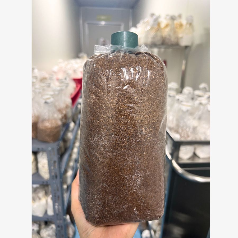 Túi mùn cưa chưa hấp làm phôi nấm 1kg 2,5kg - 3C FARM
