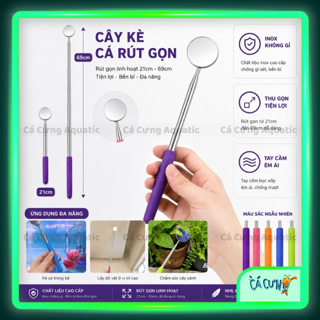 Kính kè cá betta rút gọn, cây kè cá la hán, gương huấn luyện cá lóc có thể kéo dài tiện lợi