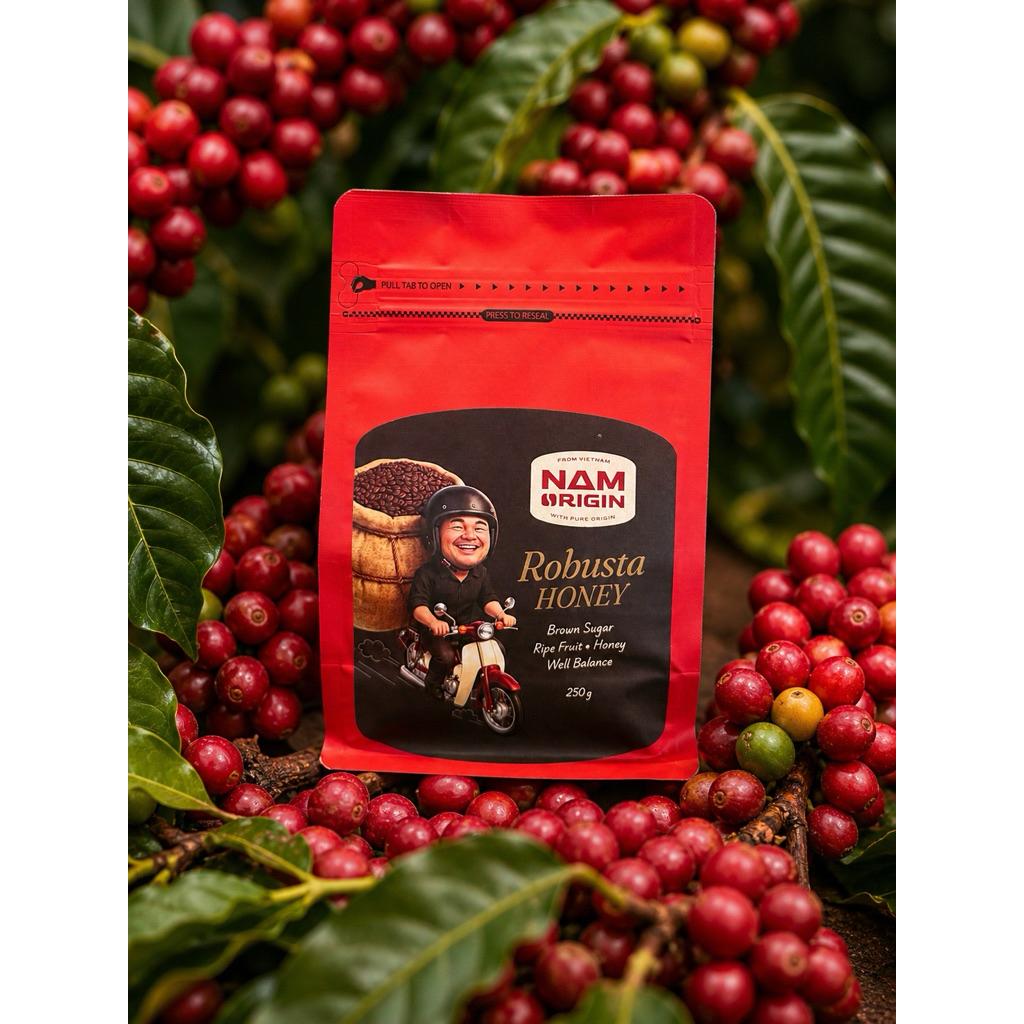 Robustar Honey - Brown Sugar