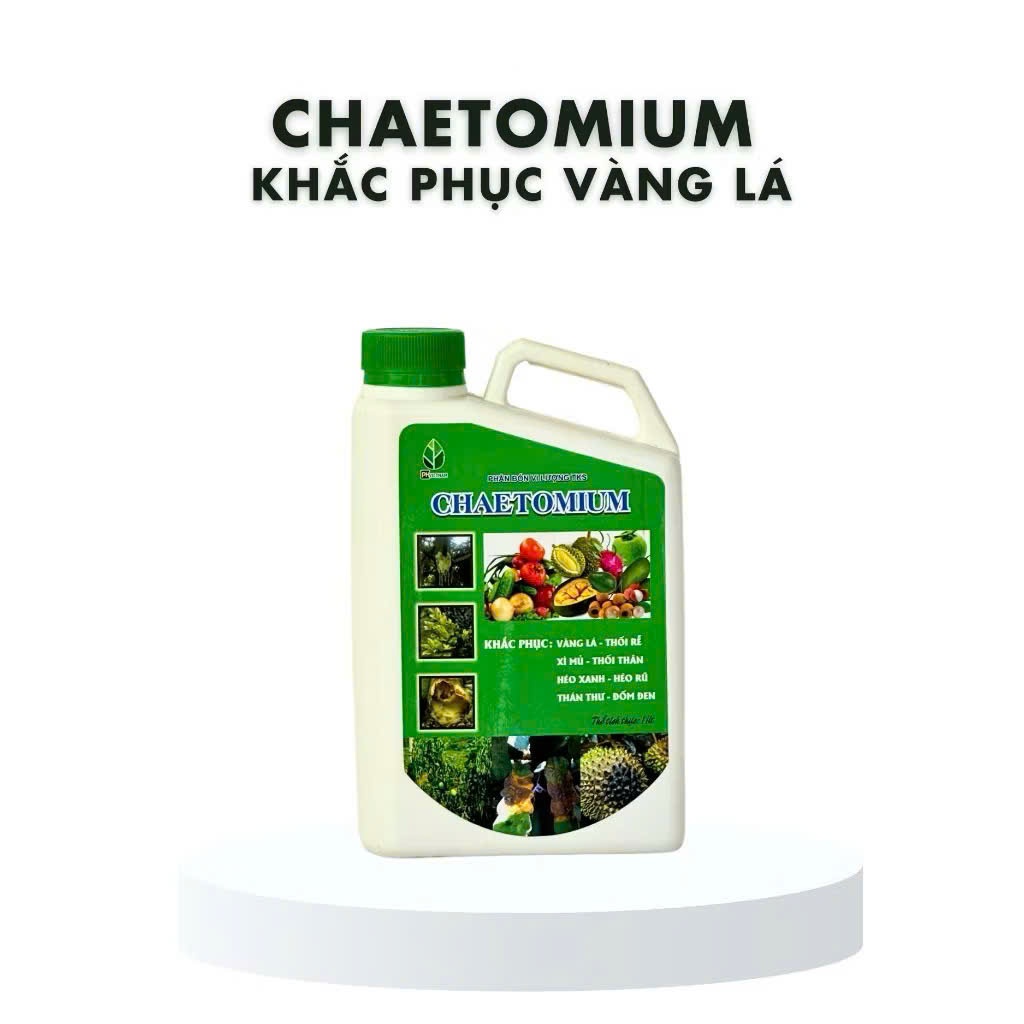 Diệt Nấm Sinh Học Chaetomium - PH VIỆT NAM - Vàng lá, Th.ối Rễ