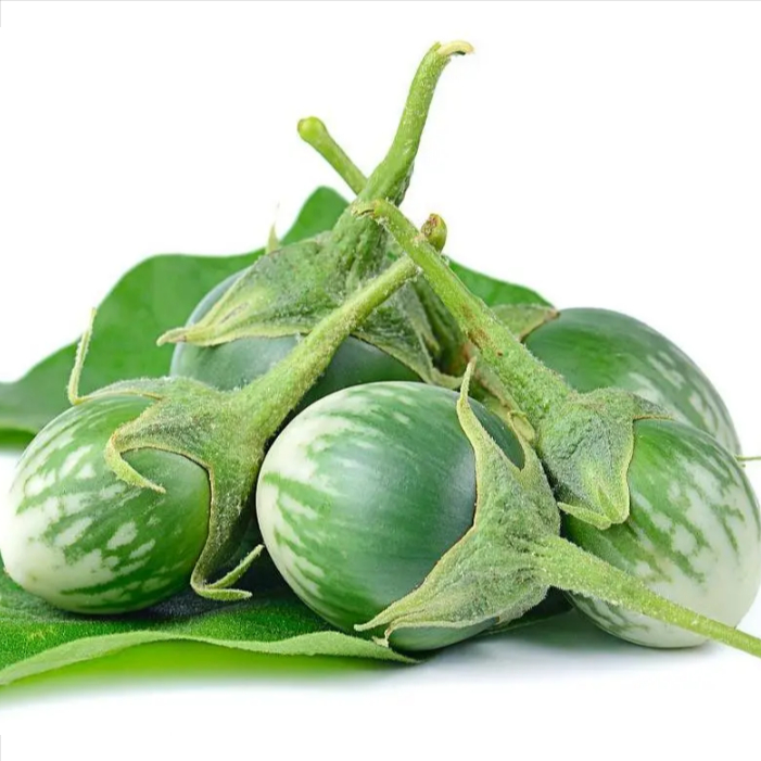 Hạt Giống Cà -Thai Eggplant Seeds-200Hạt