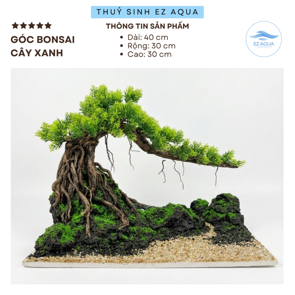 Layout góc Bonsai cây xanh Thuỷ sinh dùng trang trí bể cá thuỷ sinh kích thước 40x30x30cm