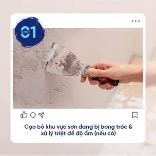 Sơn lót kháng kiềm ngoài trời Dulux Maxilite - 48C