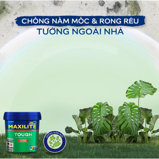 Sơn nước ngoại thất Maxilite Touch, bề mặt mờ (5 LÍT)