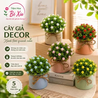 Chậu Hoa Cỏ Giả Mini 12cm Kèm Chậu Thắt Dây Gai Decor Bàn Làm Việc, Trang Trí Nhà Cửa, Quán Cafe