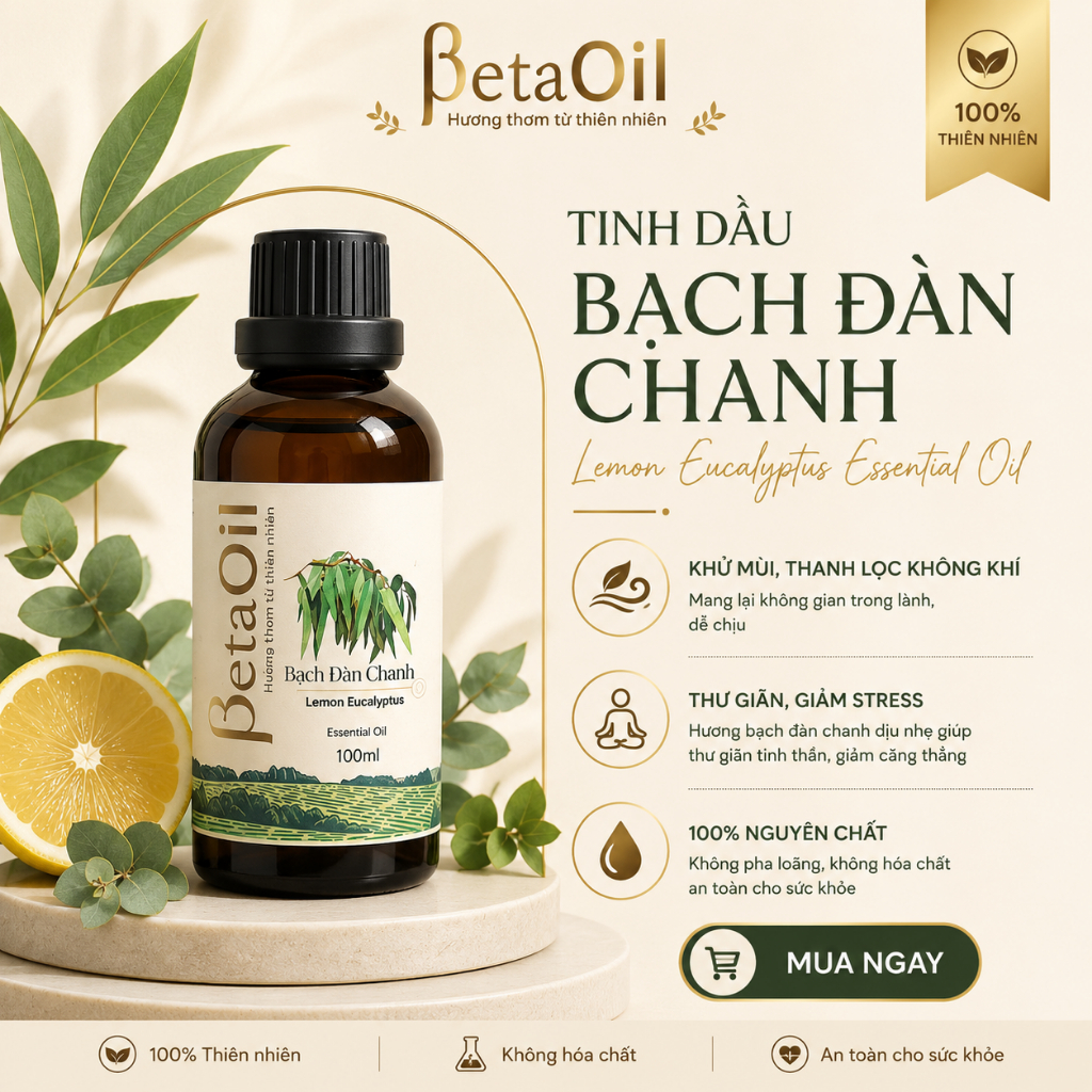 Tinh dầu Khuynh Diệp - EUCALYPTUS Essential Oil