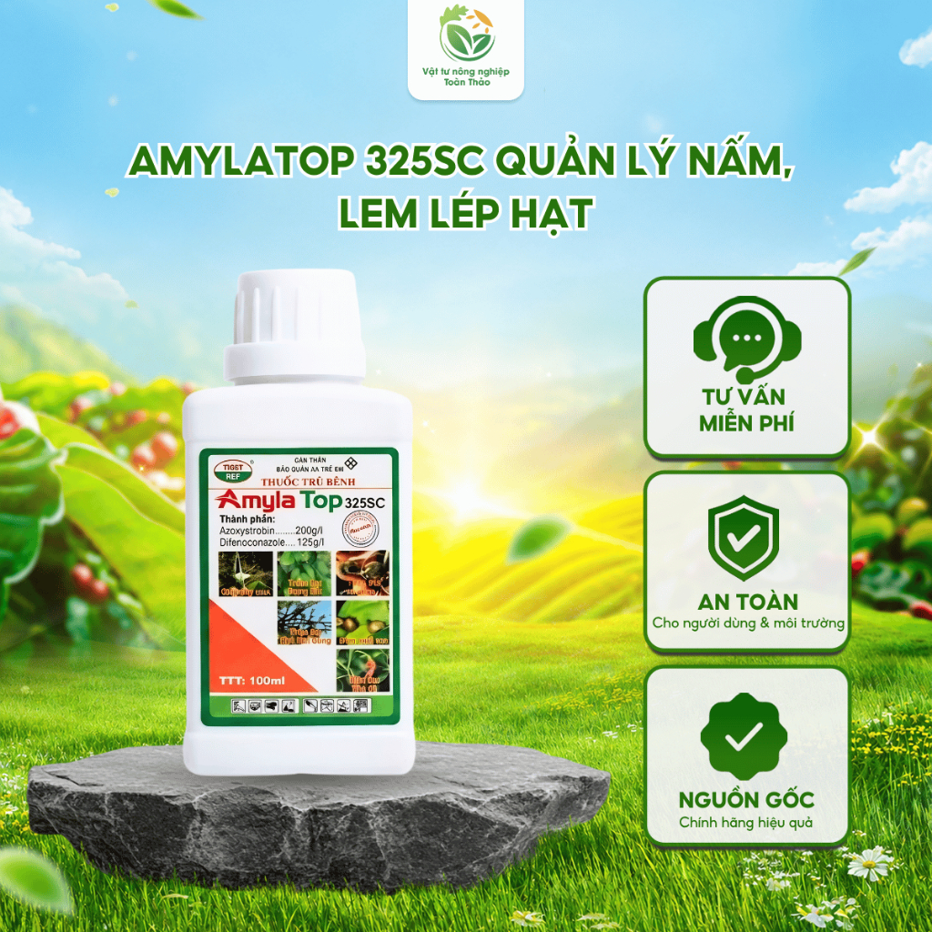 Chế phẩm Amylatop 325SC Thiên Bình 100ml | Quản lý Nấm, Lem Lép Hạt, Phấn Trắng, Thán Thư | Mát Cây