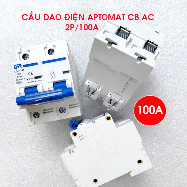 Cầu dao điện ac 2P 100A 220V LWR, MCB 2P, Aptomat 2P bảo vệ quá tải ngắn mạch