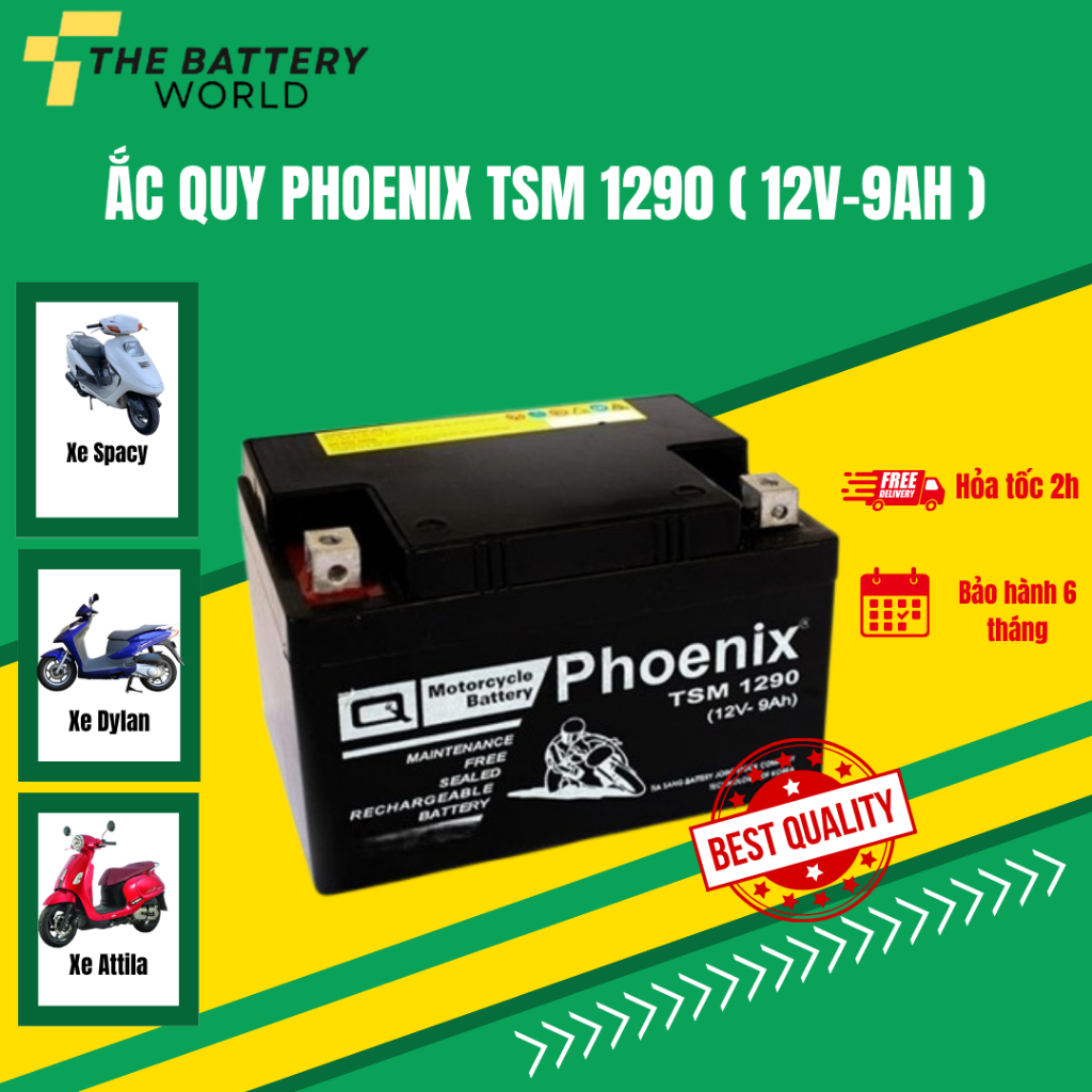Ắc quy xe máy Phoenix 12V-9Ah (TSM1290)