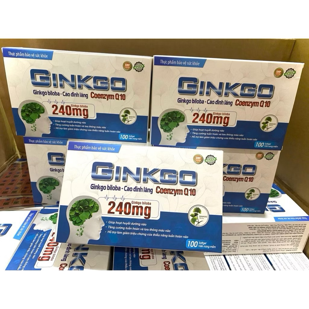 Viên Uống Bổ Não GINKGO BILOBA 240mg - Giúp Tăng Cường Tuần Hoàn Máu Não, Hộp 100viên