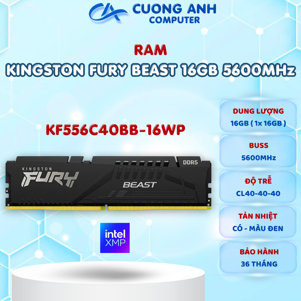 RAM KINGSTON FURY BEAST 16GB (1x16GB) DDR5 5600MHz (KF556C40BB-16WP). Hàng mới chính hãng