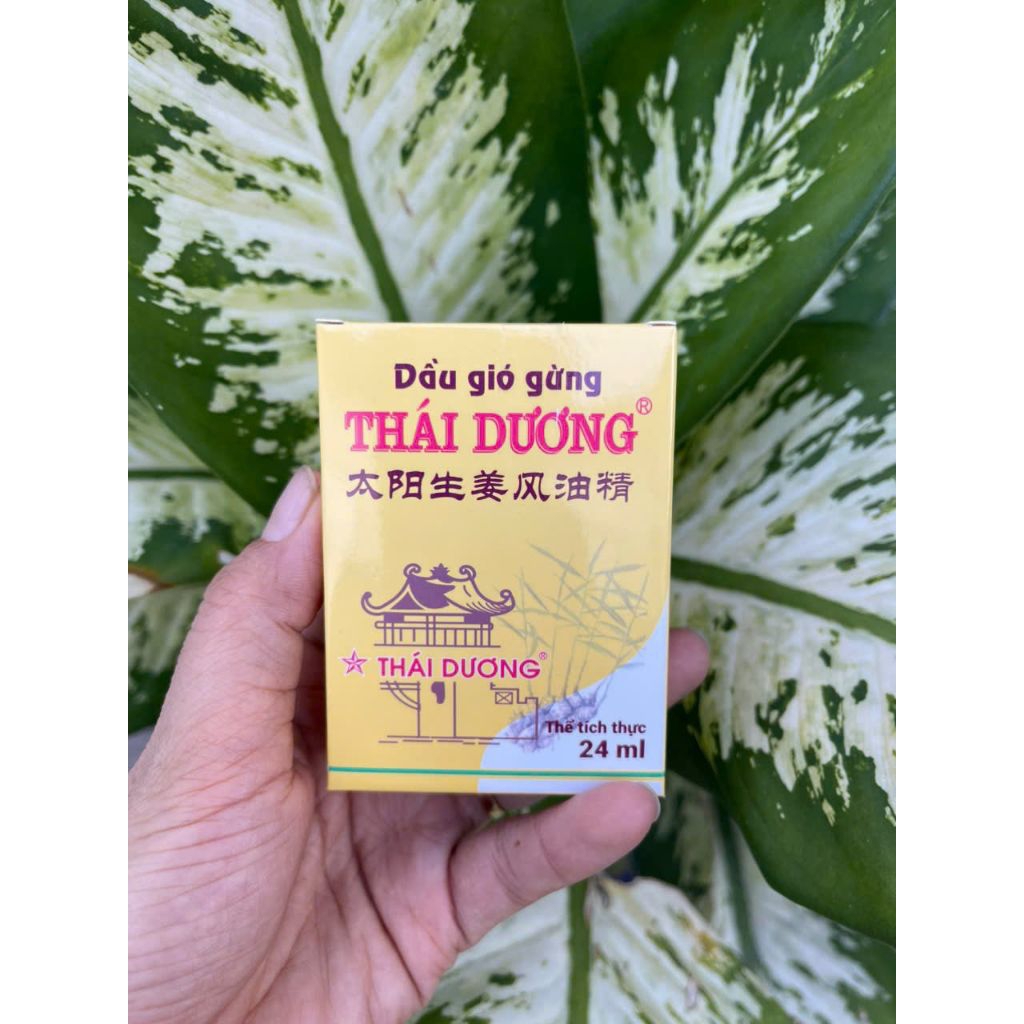 Dầu gió gừng Thái Dương (24ml)