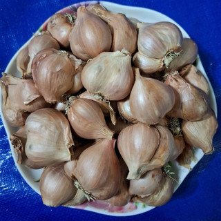 1kg Hành ta khô Kinh Môn Hải Dương đã chọn lọc