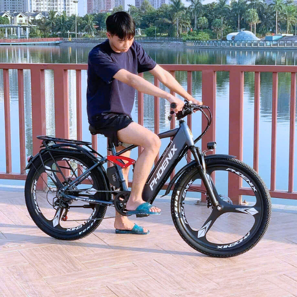 Xe đạp trợ lực điện Phoenix Q1 Phượng Hoàng 400W pinLithium 48V Shimano 7 cấp, phanh đĩa cơ
