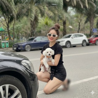 Áo Nữ Cổ Tim Lụa Giấy Mềm Mịn Mặc Mát